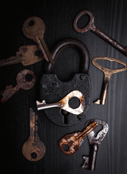 گربه هیمالین: جواهری با چشمان آبی